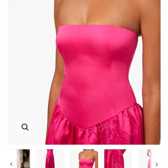 Weworewhat Corset Feathered Gown - Magenta (Size 6 but would fit a size 4) - Picture 3 of 4